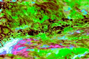 AP 51C1